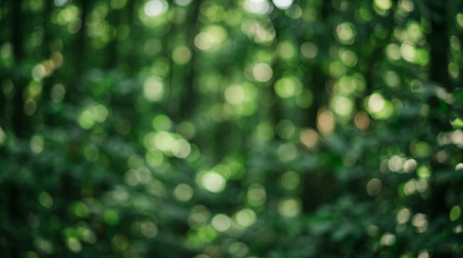 High-Resolution Bokeh Background Images Free Download for Designers