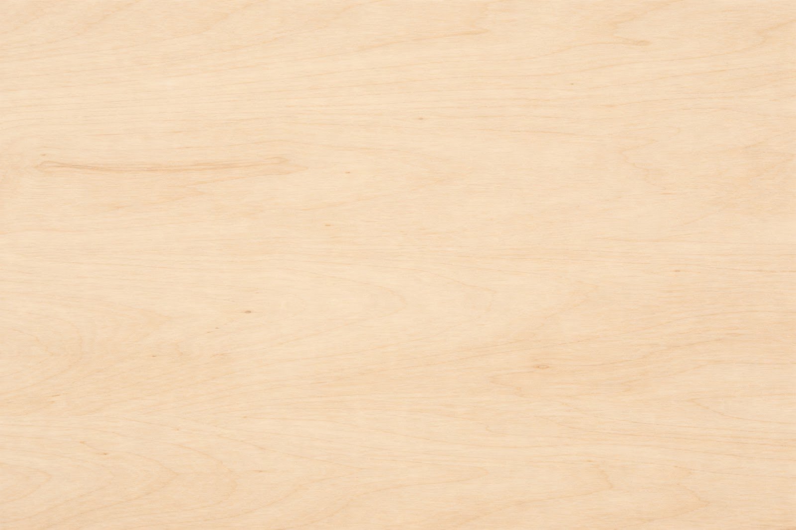 Birch Pale Wood Texture Background – Free High-Resolution Download