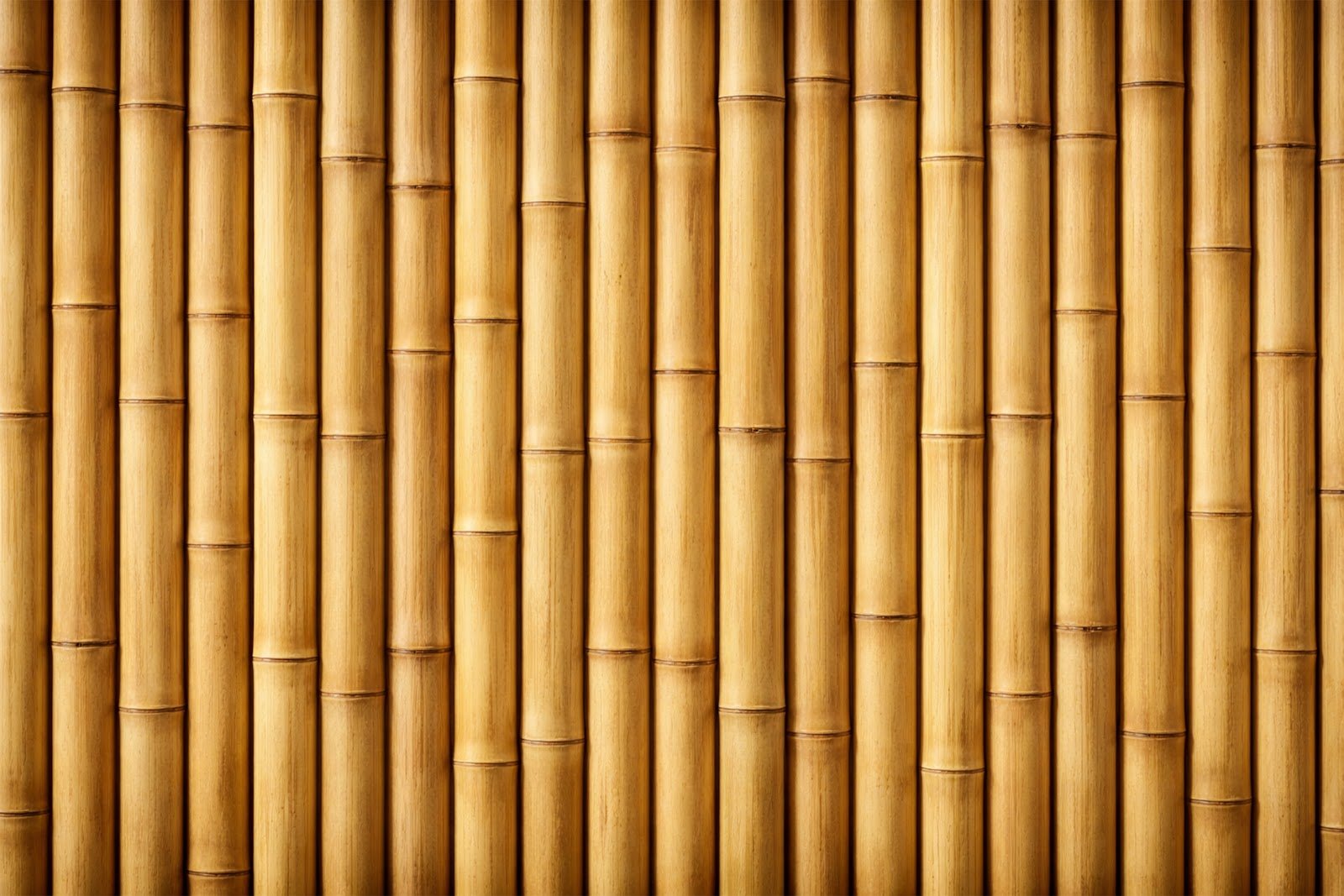 Bamboo Vertical Strips Texture Background – Free High-Resolution Download