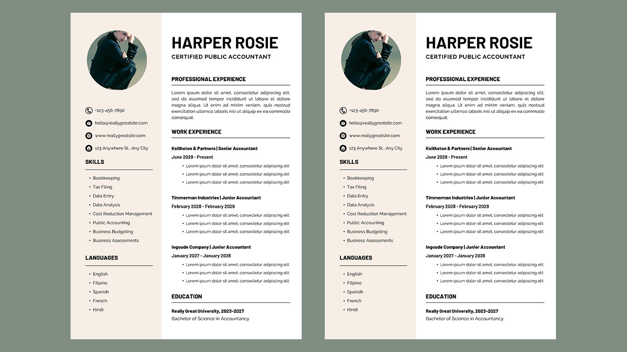 Neutral Minimalist Modern Professional Accountant Resume - CV Templates Free Download