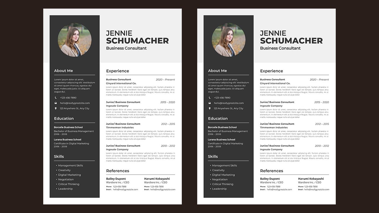 Professional CV Resume - CV Templates Free Download