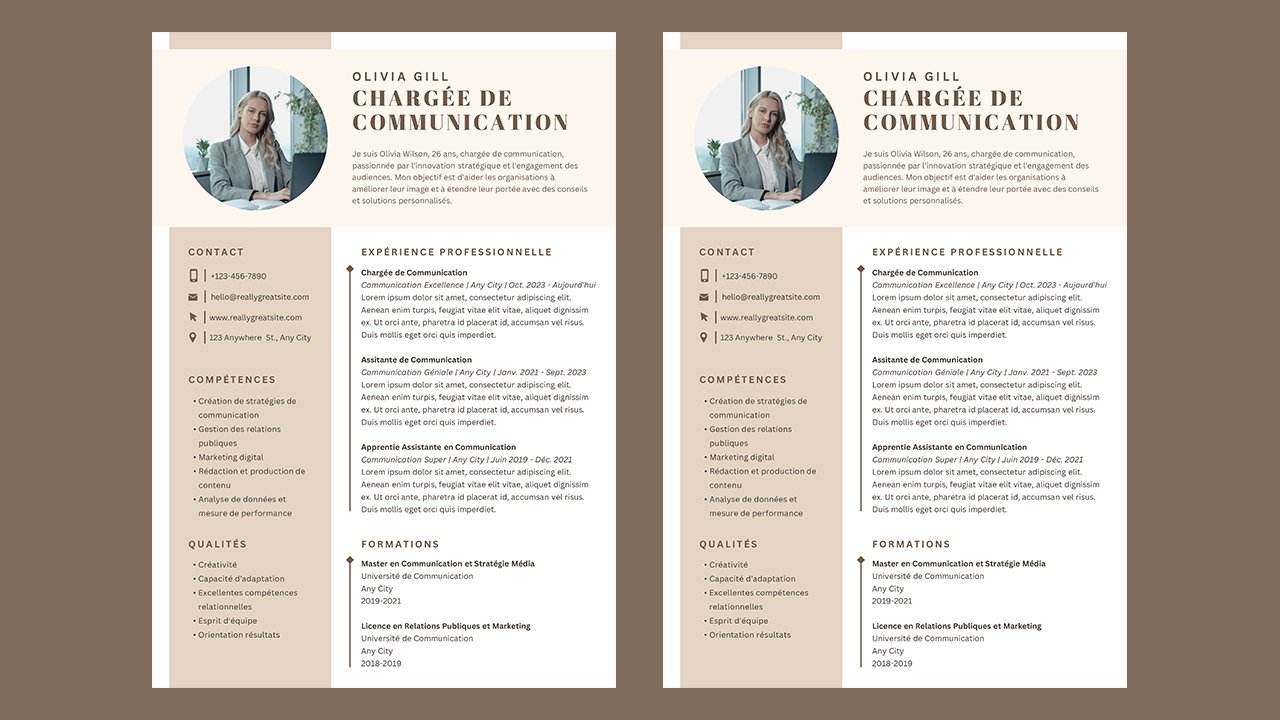 CV Français Professionnel Marron Simple - CV Templates Free Download