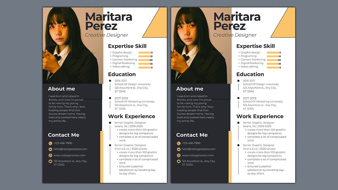 Professional CV Resume - CV Templates Free Download